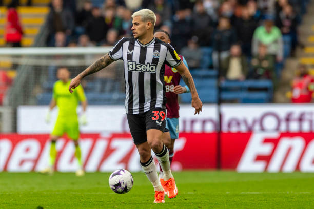 众的生态保 众的生态保