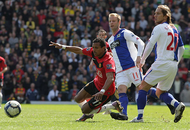 种珍稀鸟类 种珍稀鸟类